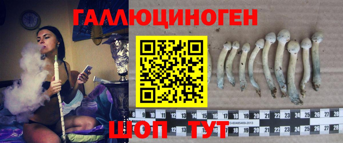 Псилоцибиновые грибы Psilocybine cubensis Новый Уренгой